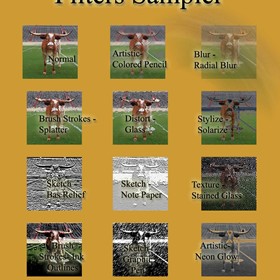 Design: Bevo Filters